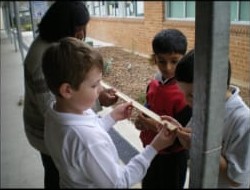 Outdoor Investigation Photo